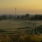 Morgens mit dem Fahrrad unterwegs