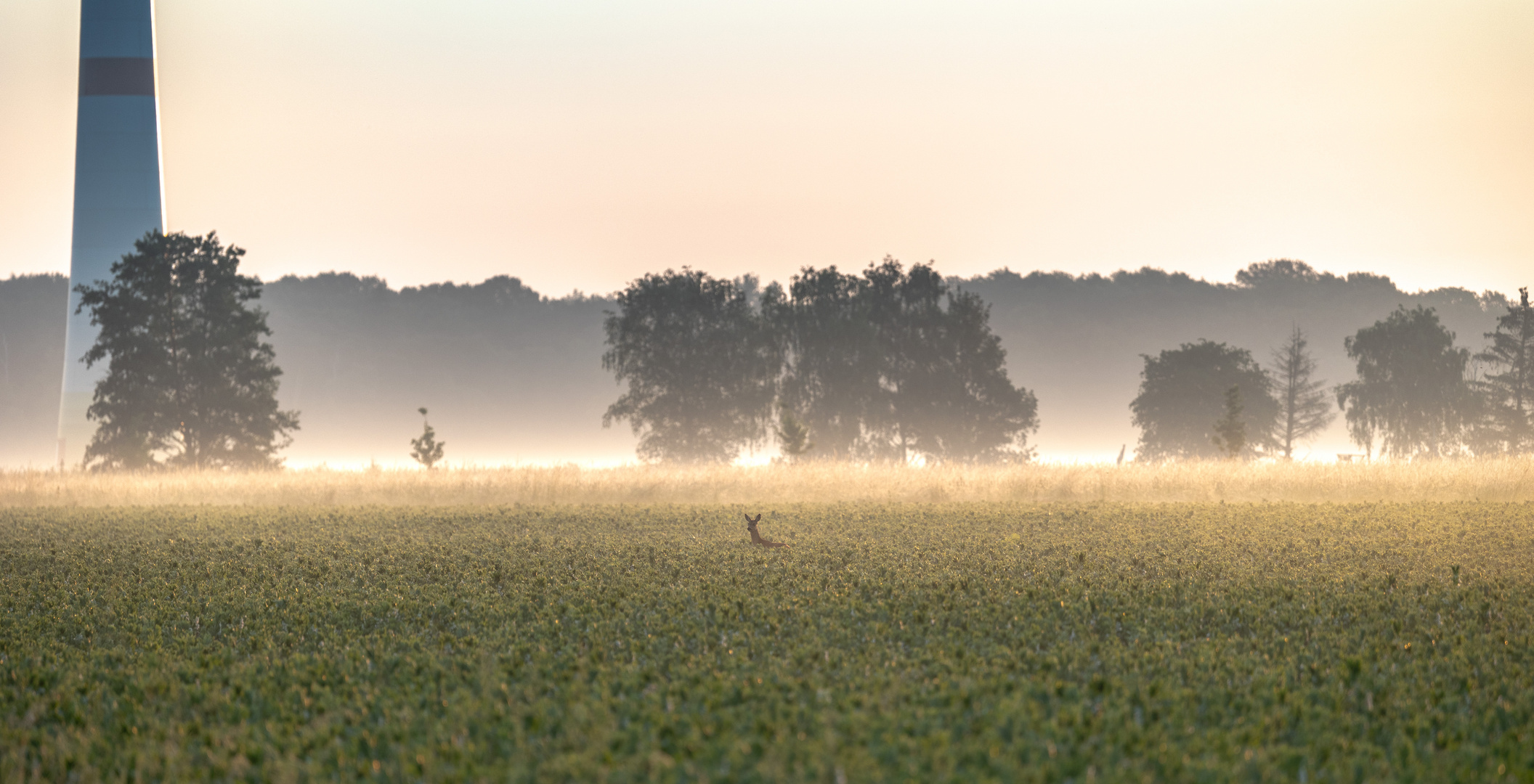 Morgens mit dem Fahrrad unterwegs