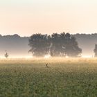 Morgens mit dem Fahrrad unterwegs