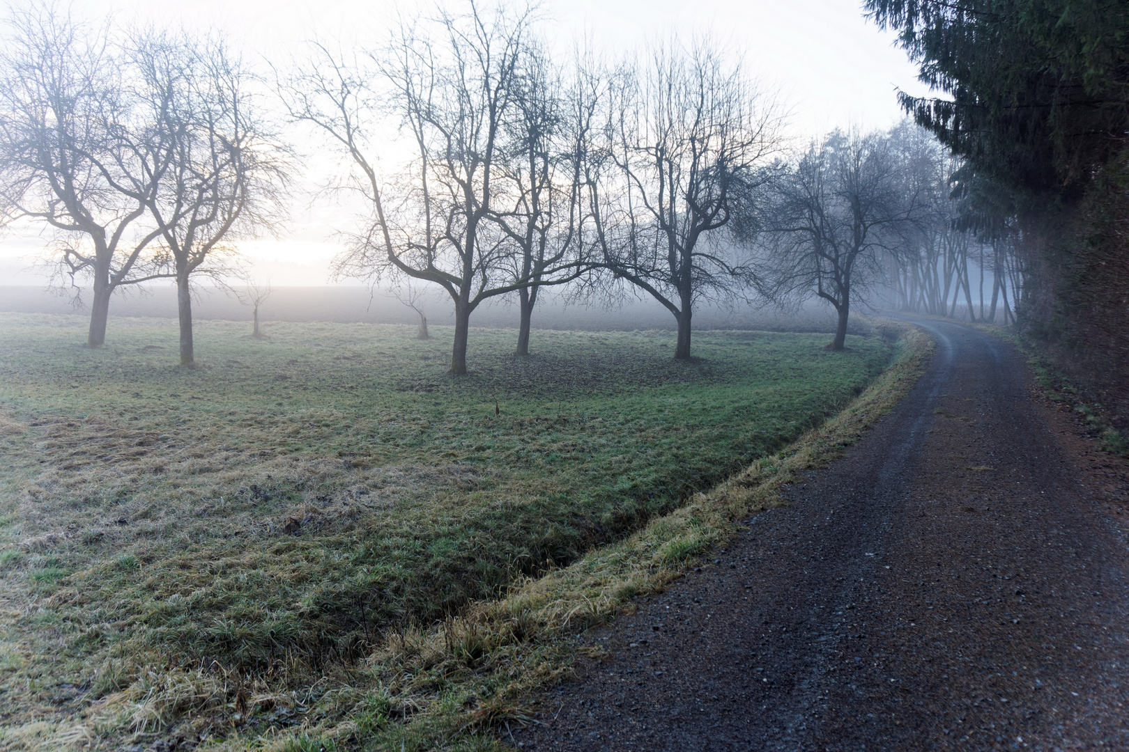 Morgens mit Hund unterwegs 7