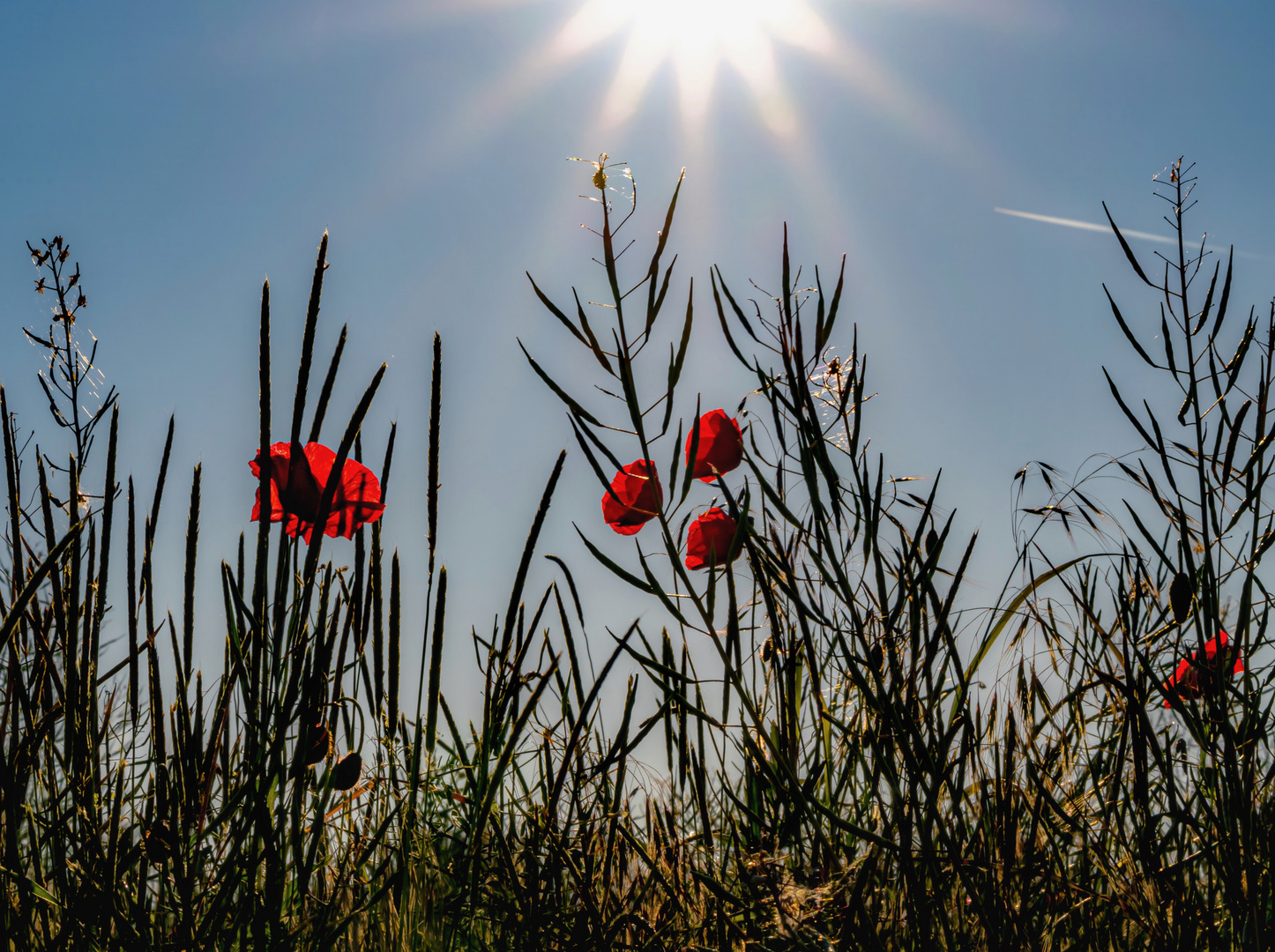 Morgens mit Sonne