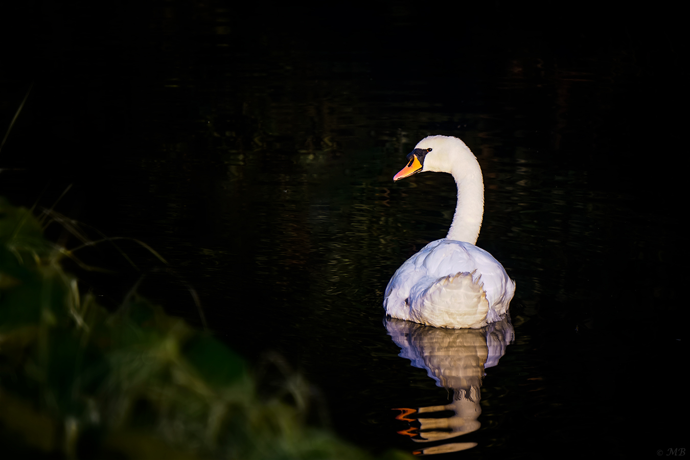 Morgens mit Spiegelbild