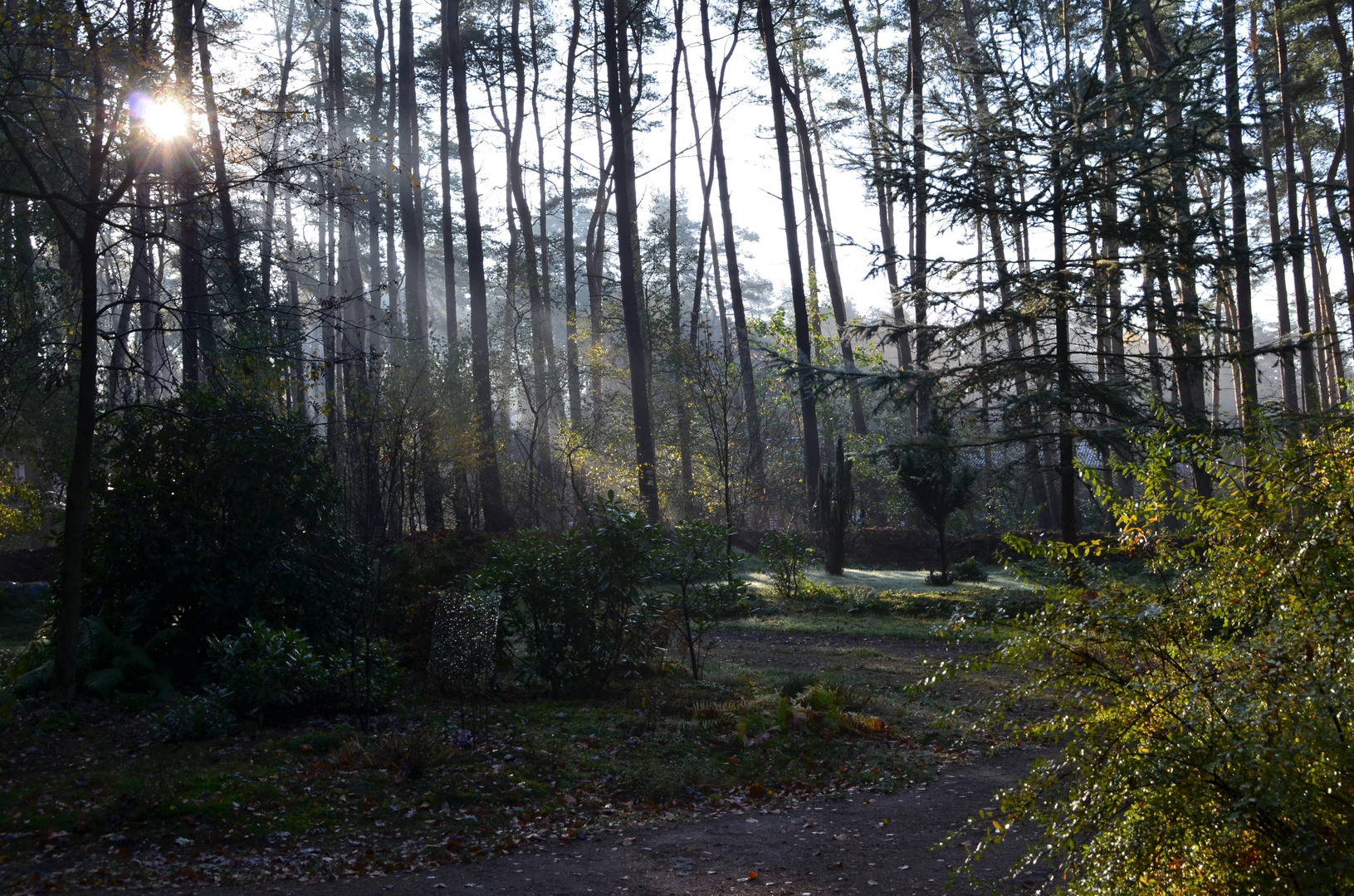 Morgens nach dem Regen...