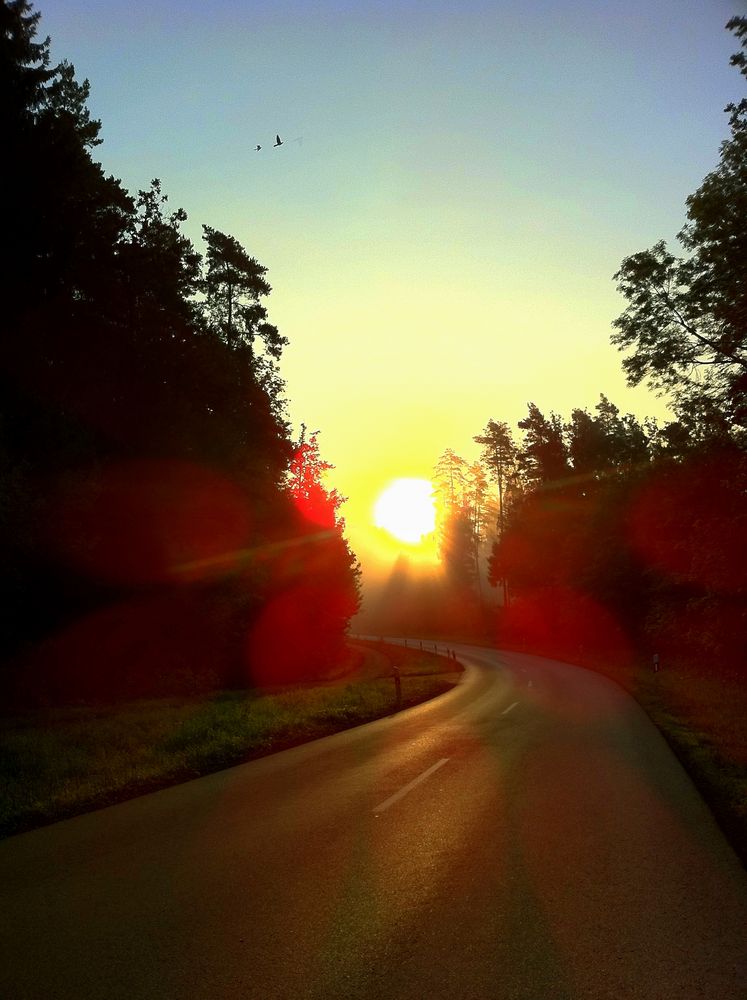 morgens nach der Arbeit in der Bar (1/1207s f/2.8 ISO: 80)