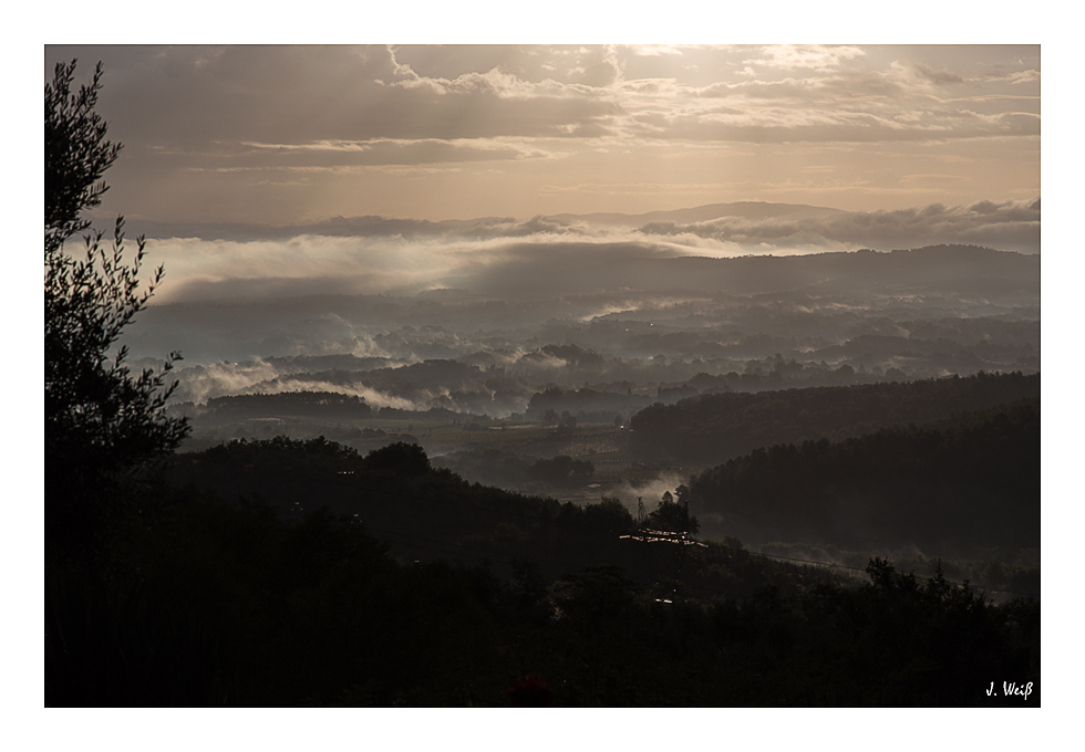 Morgens nach der Regennacht