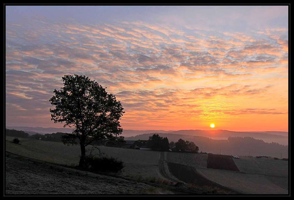 Morgens, nach einer kalten Nacht