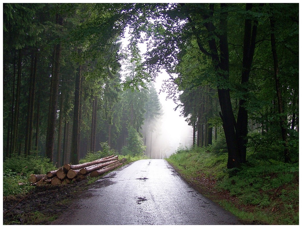 Morgens nach verregneter Nacht