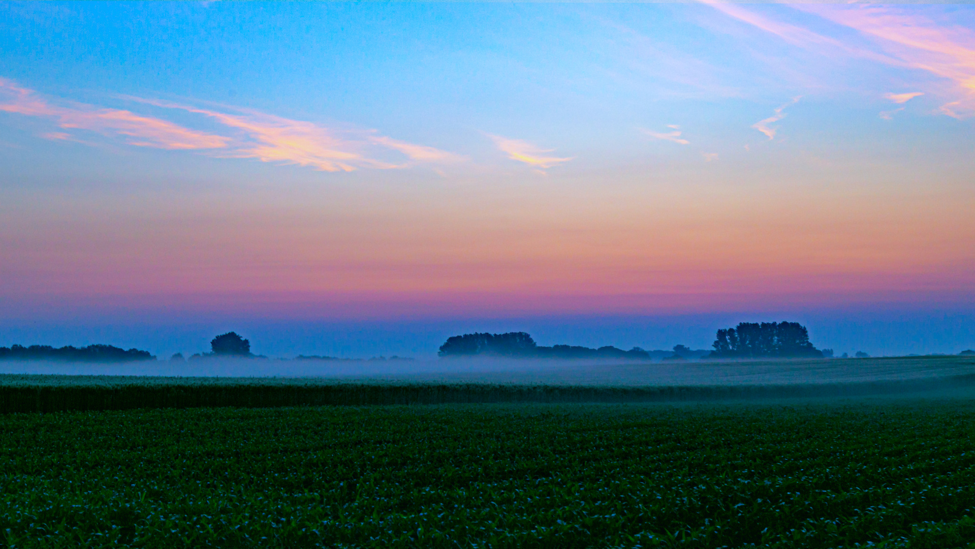 Morgens Nebel