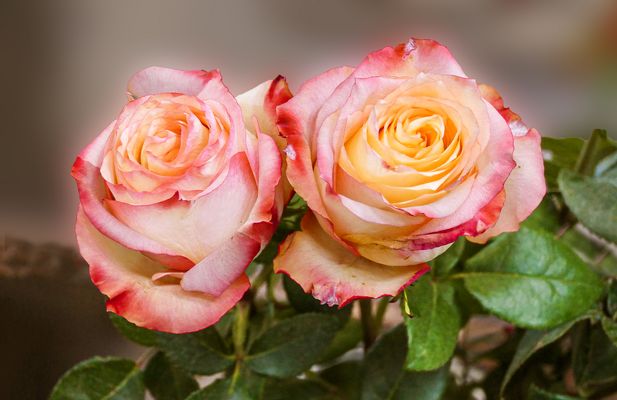 Morgens ohne make up