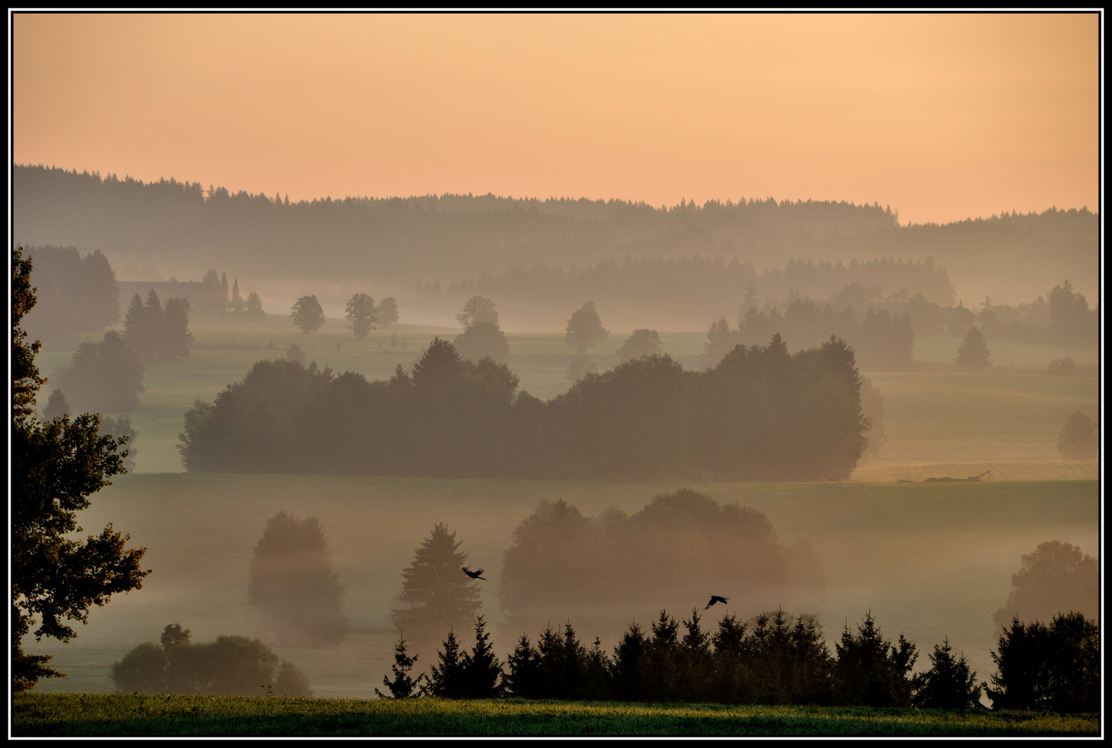 Morgens riecht man den Nebel, ...