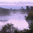 morgens, Stratford on the river (Australien)