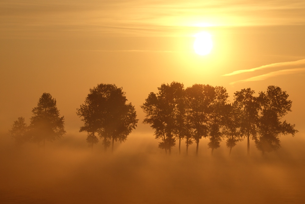 Morgens über dem Hammrich