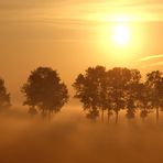 Morgens über dem Hammrich