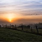 morgens über dem Nebel