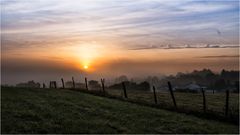 morgens über dem Nebel