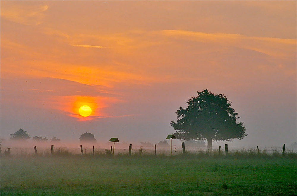 Morgens um 5 in Frankreich