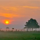 Morgens um 5 in Frankreich