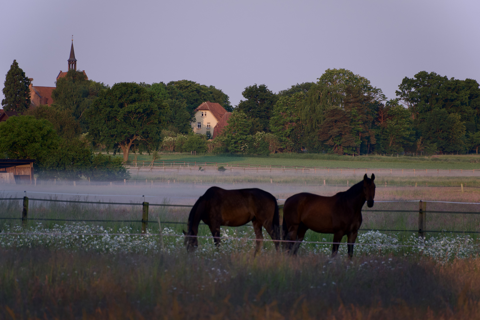 Morgens um 5 in Norddeutschland 