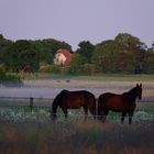 Morgens um 5 in Norddeutschland 