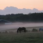 Morgens um 5 Uhr