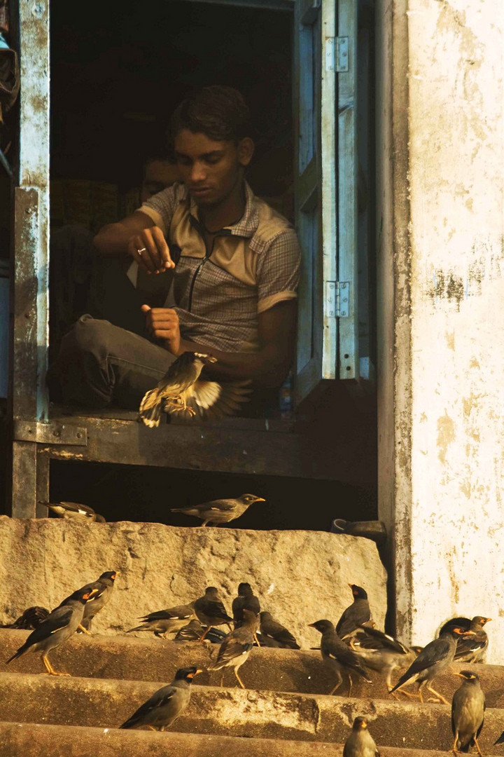 morgens um 5 Uhr am ganges