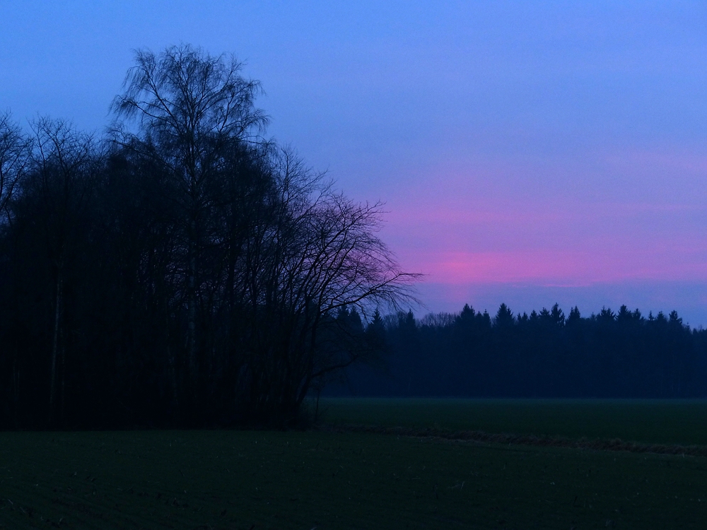 Morgens um 5vor8 Uhr bei Gildehaus