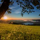 Morgens um 6 am Rursee