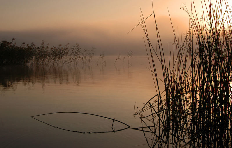 Morgens um 6 am Staffelsee