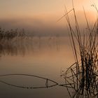 Morgens um 6 am Staffelsee