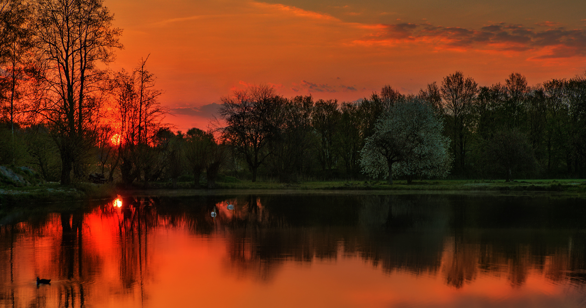 Morgens um 6 am Teich