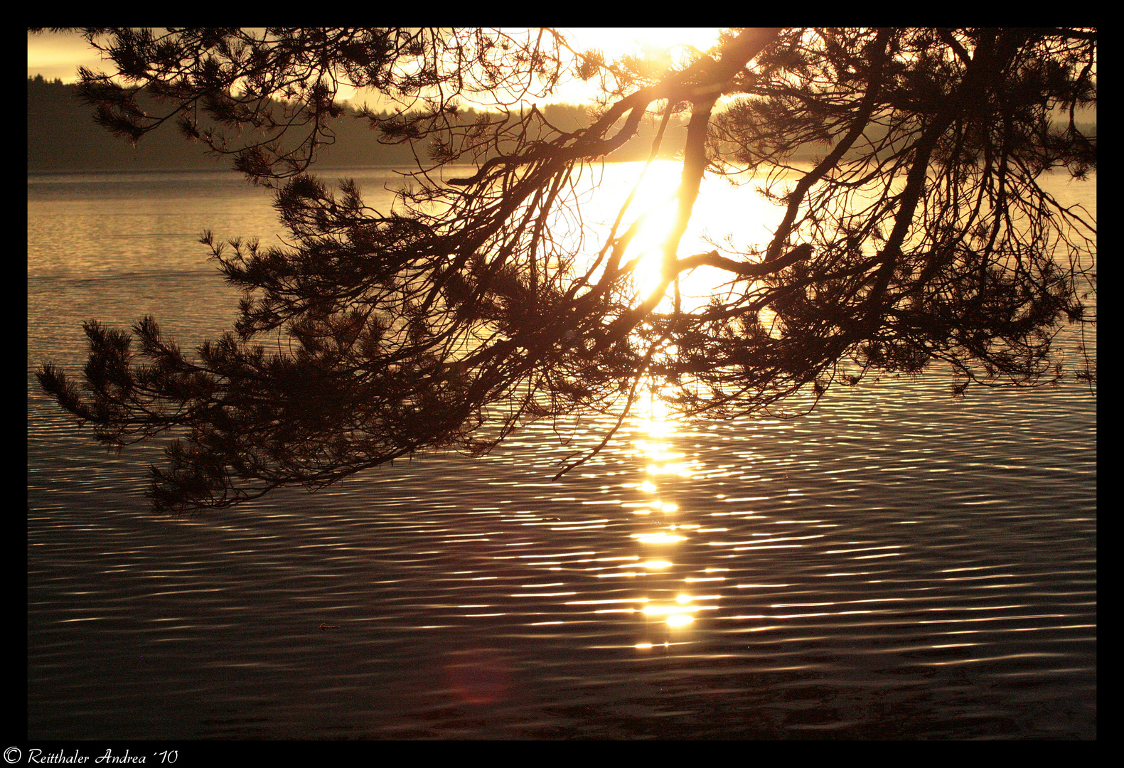 morgens um 6 - am Waginger See