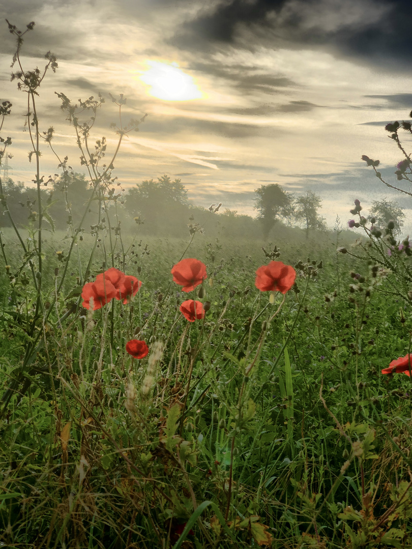 Morgens um 6 in Bad Rappenau 