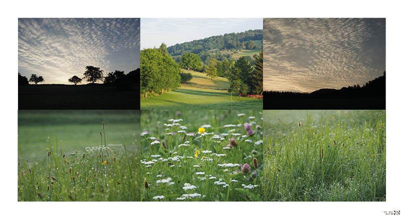 Morgens um 6 Uhr im Odenwald