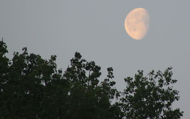 Morgens um 6:00Uhr über Olfen