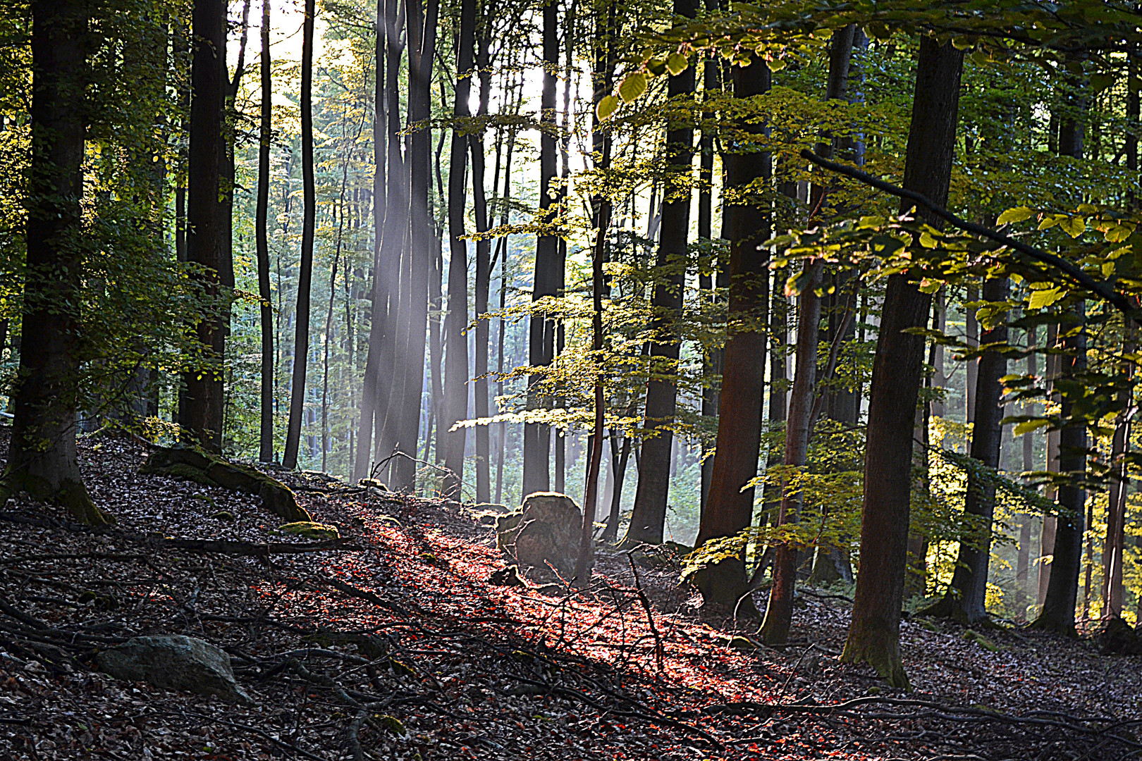 morgens um 6.30 uhr am Berg