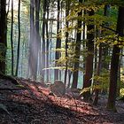 morgens um 6.30 uhr am Berg