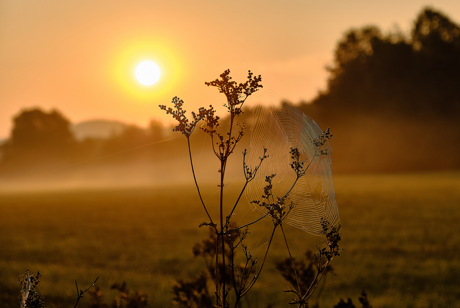 Morgens um 6.30 Uhr in Hersbruck