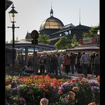 Morgens um 7 auf dem Fischmarkt