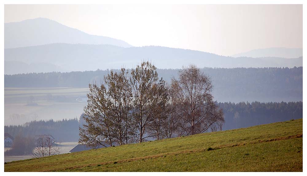 morgens um 7 im Bayerischen Wald