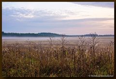 Morgens um 7 Im Nationalpark Müritz 10