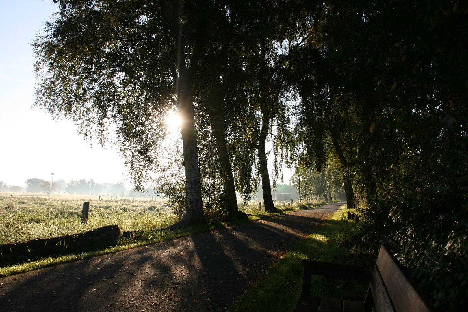 Morgens um 7  im Park in Rietberg