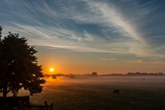 Morgens um 7 ist die Welt noch in Ordnund..........