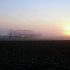 Vermischtes