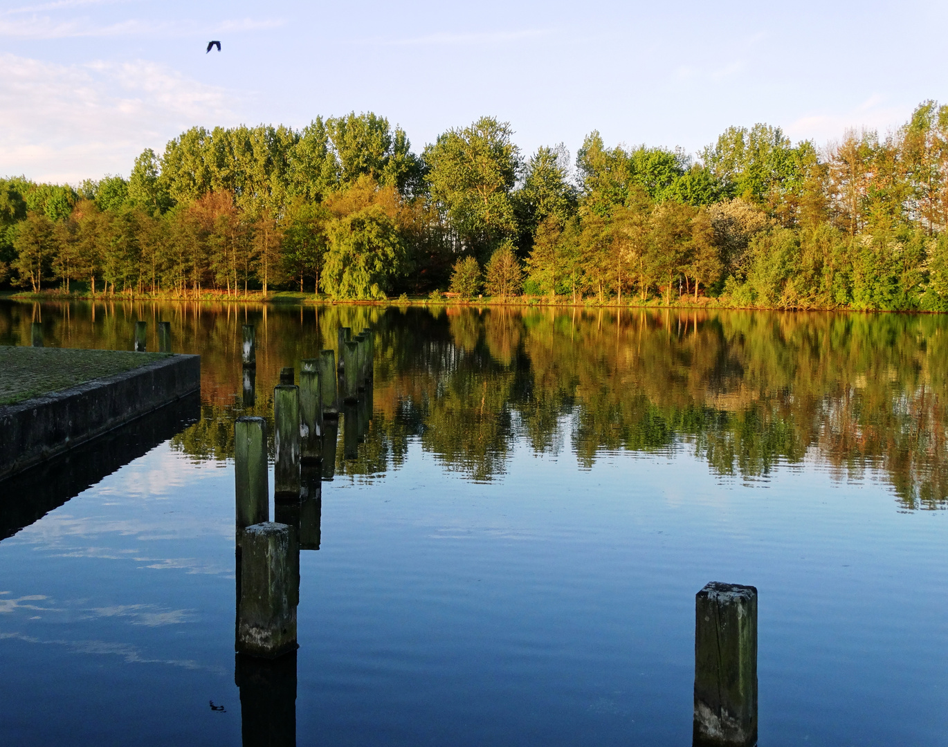 Morgens um 7Uhr am See