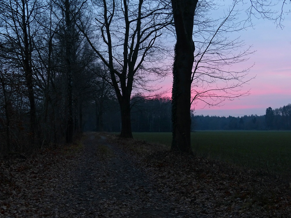 Morgens um 8 südlich von Gildehaus