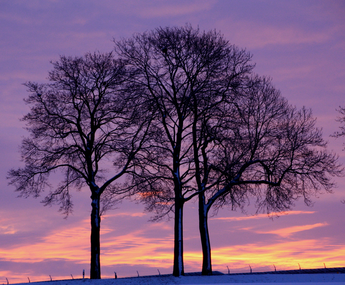 Morgens um 8 Uhr 27.1.13