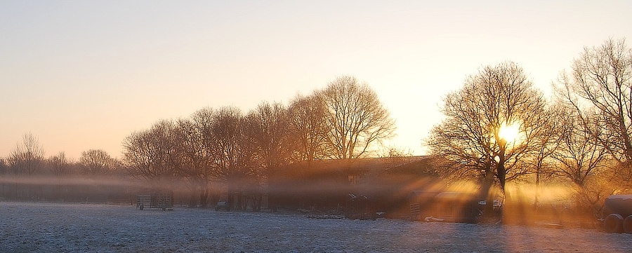 morgens um 8 Uhr