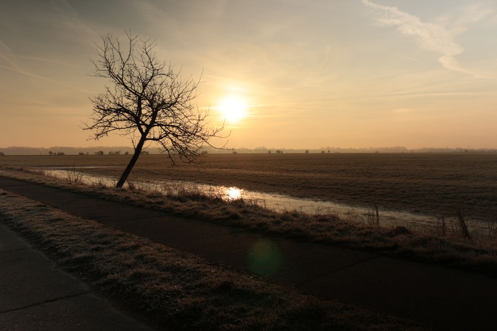 Morgens um 8:00 Uhr