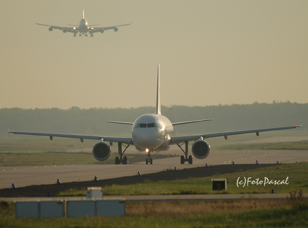 Morgens um 8,00 Uhr am Frankfurter-Flughafen