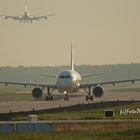 Morgens um 8,00 Uhr am Frankfurter-Flughafen